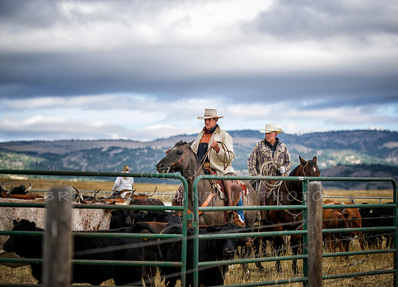 Cattle Branding-39
