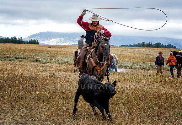 Cattle Branding-23