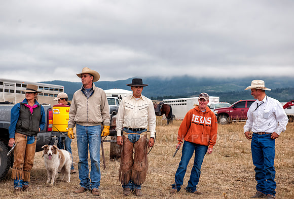 Cattle Branding-156
