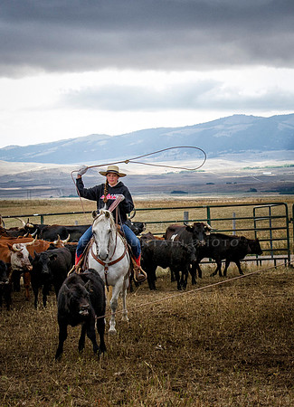 Cattle Branding-74