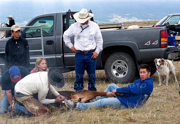 Cattle Branding-72