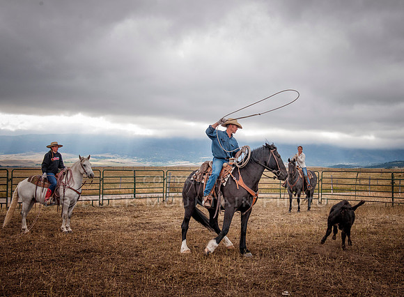 Cattle Branding-33