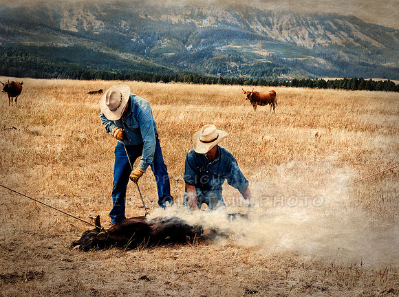 Two cowboys branding a calf, with the mountains in the background.