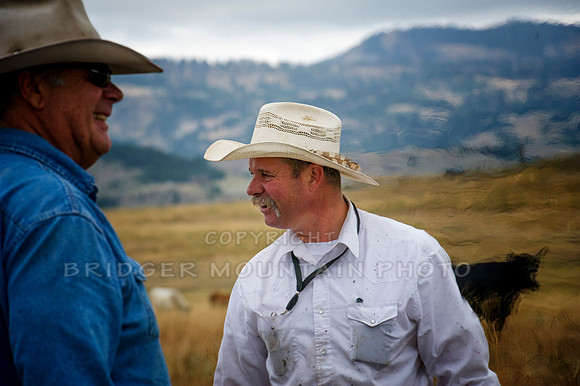 Cattle Branding-59