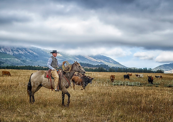 Cattle Branding-65