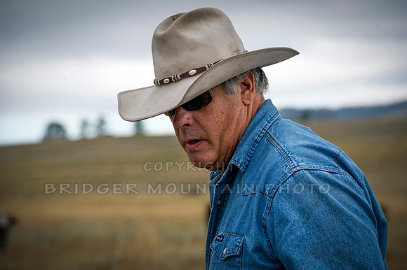 Cattle Branding-42