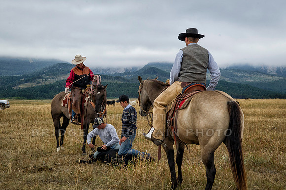 Cattle Branding-50