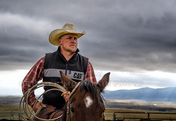 Cattle Branding-15