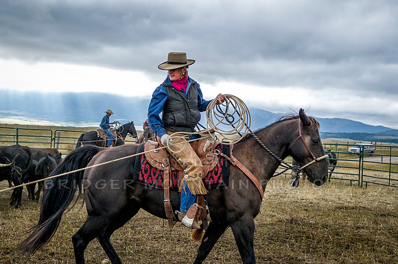 Cattle Branding-48