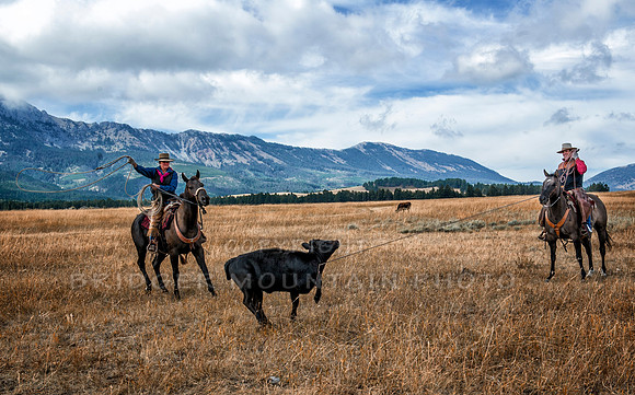 Cattle Branding-27