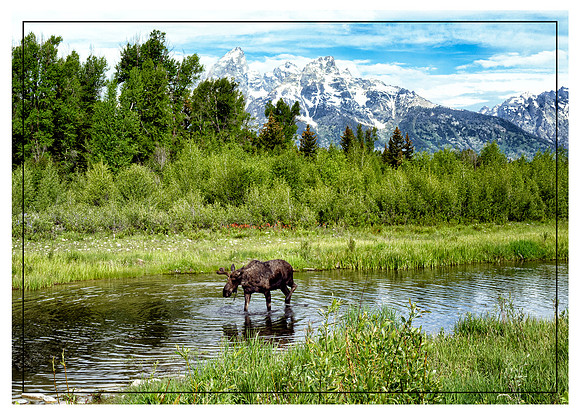 Grand Teton National Park