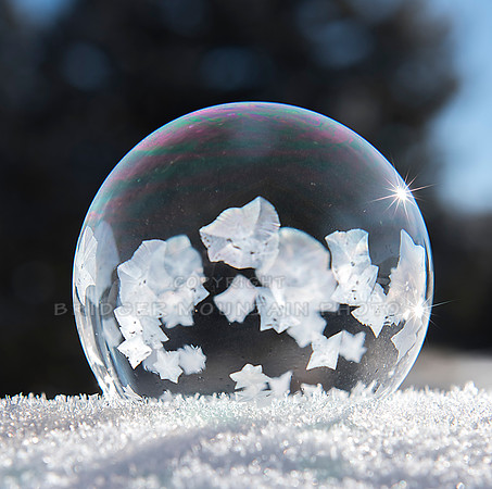 Bubble in the Snow