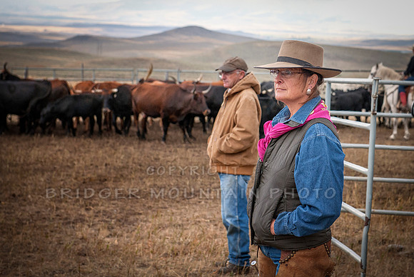 Cattle Branding-86