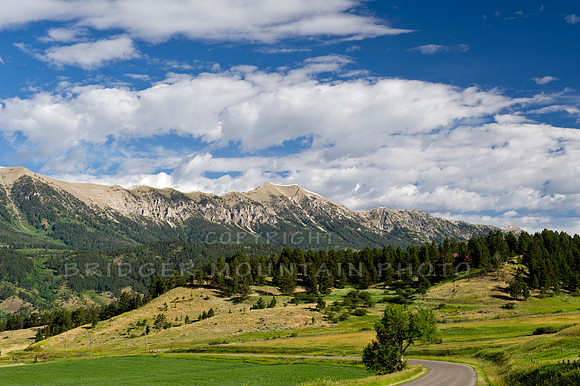 Bridger Mountains in the Summer
