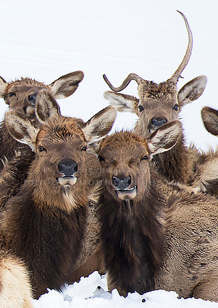 Group Photo