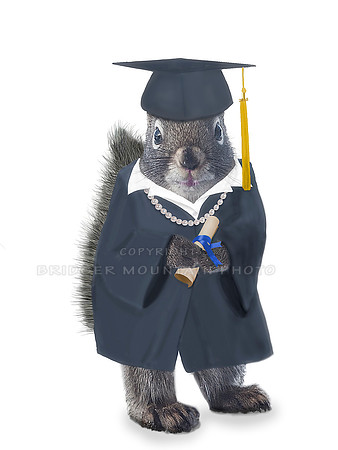 Female Graduate squirrel
