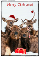 Group Photo Christmas 2