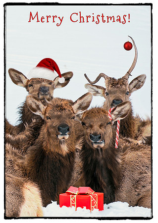 Group Photo Christmas 2