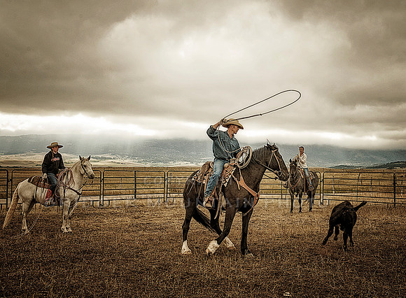 Cattle Branding-84