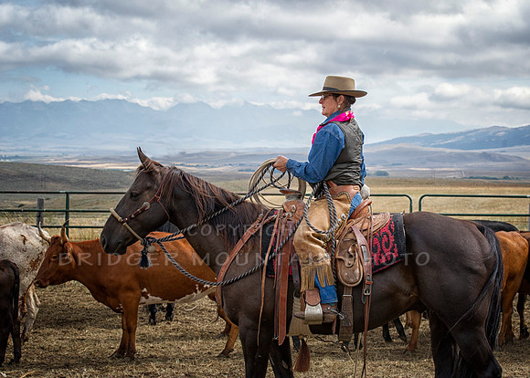 Cattle Branding-85
