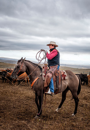 Cattle Branding-144