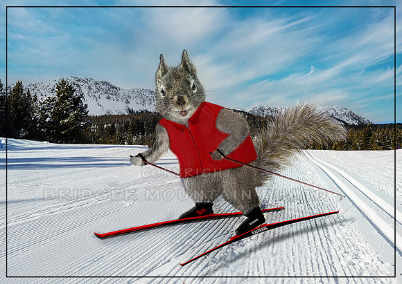 Skate Skier