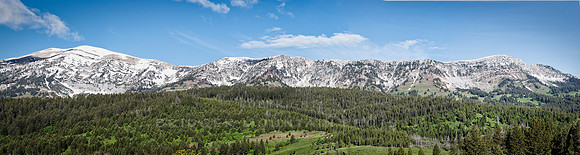 Bridger Mountain Range in June