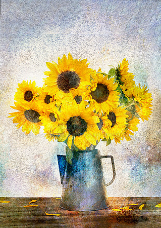 Glowing Sunflowers