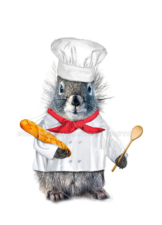 Chef Squirrel