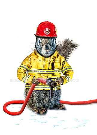 FIreman Squirrel