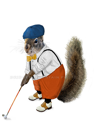 Golfing Squirrel