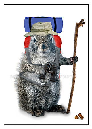 Hiker Squirrel
