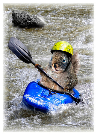 Kayaking Squirrel