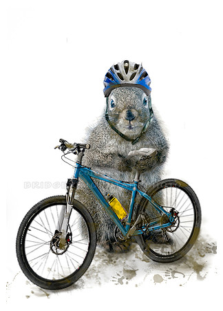 Mountain Biker