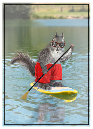 Paddleboarding Squirrel