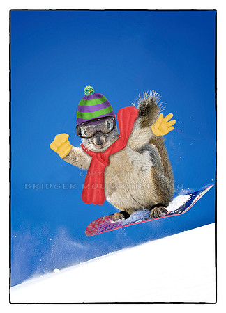 Snowboarding Squirrel