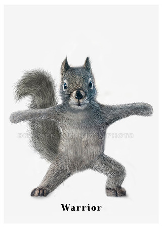 Yoga Squirrel