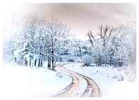 A Winter Morning