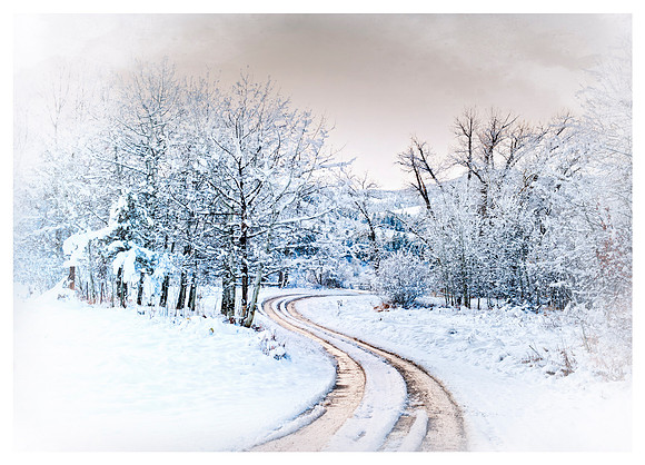 A Winter Morning