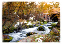 Autumn Stream