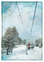 Birds over Bridger Bowl