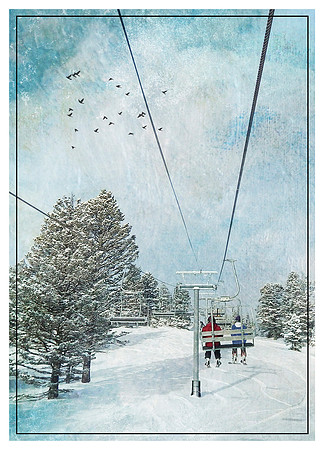 Birds over Bridger Bowl