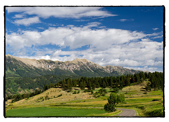 Bridgers in the Summer