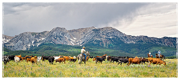 Cowboy Country