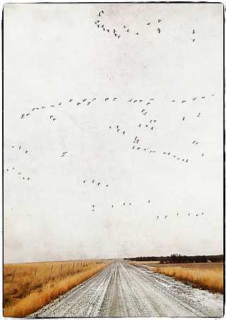 Foggy Road Note Card