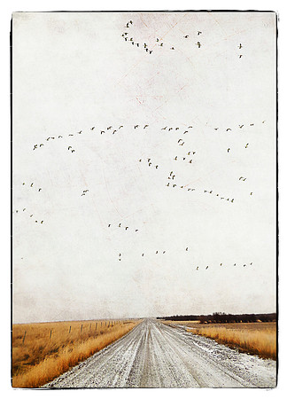 Long Road Ahead