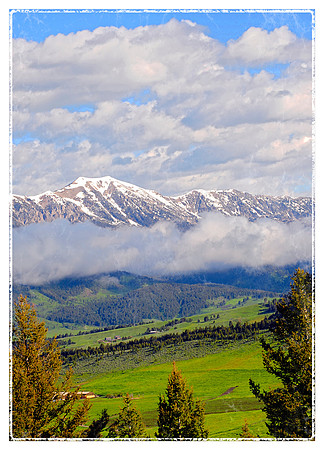 Morning in the Bridger Mountains