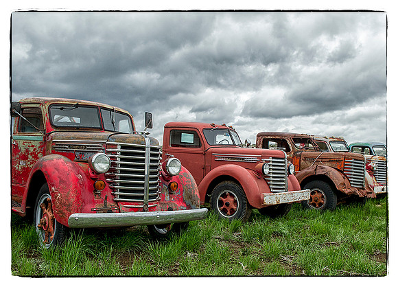 Old Truck Line Up