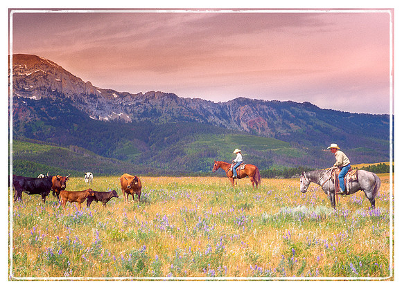 Paradise in Montana