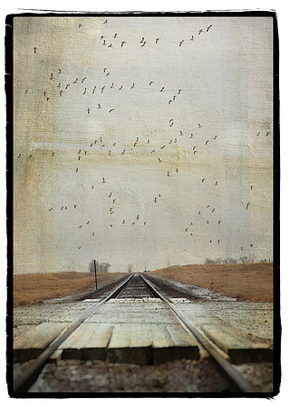 Railroad Tracks in Fog